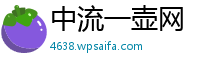 中流一壶网